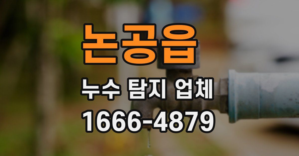 논공읍 누수 탐지 업체