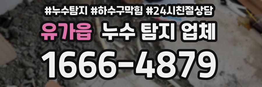 유가읍 누수 탐지 업체