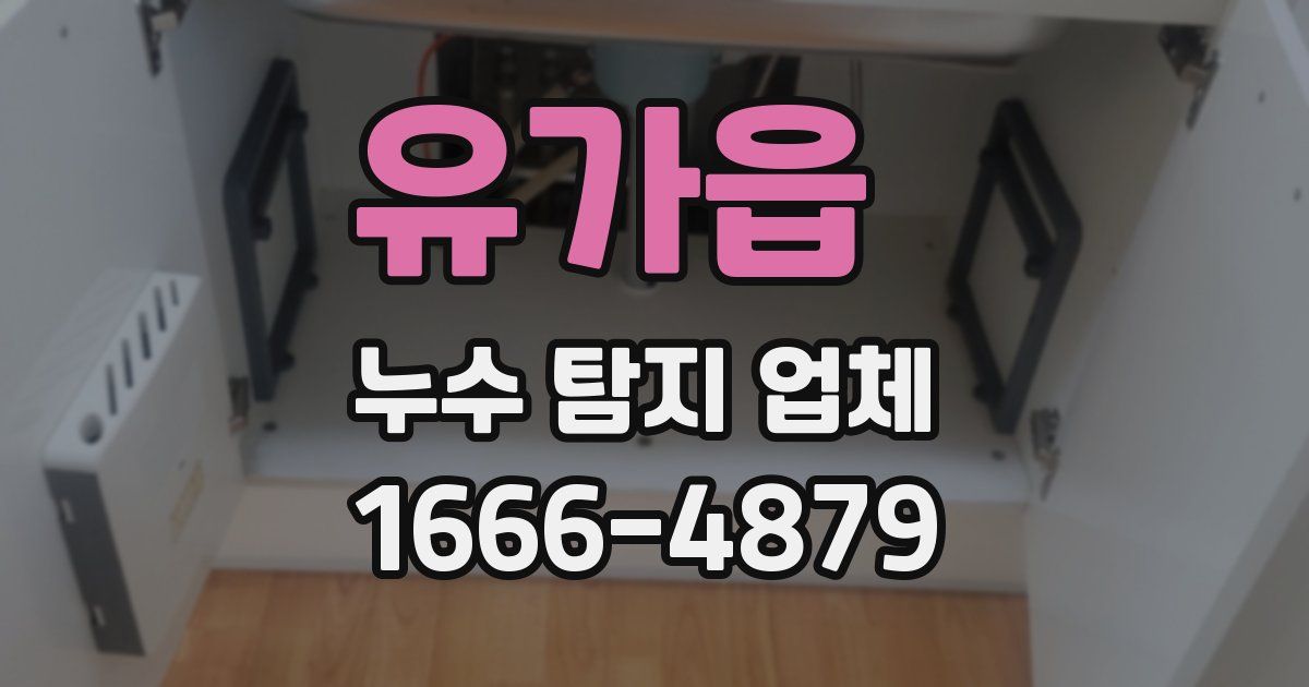 유가읍 누수 탐지 업체