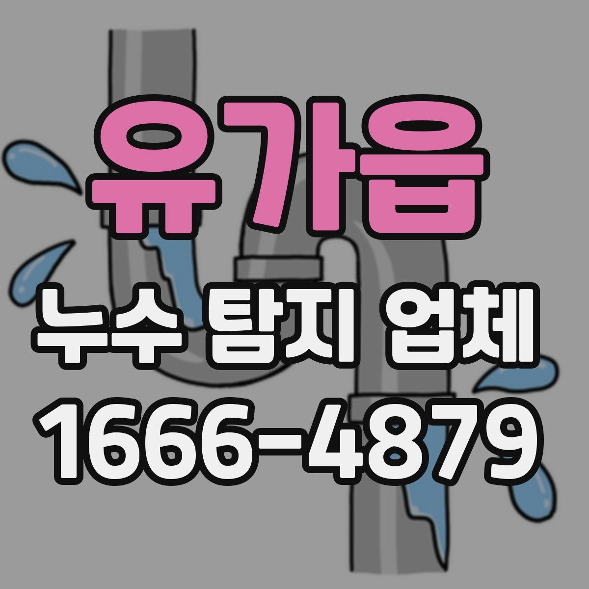 유가읍 누수 탐지 업체