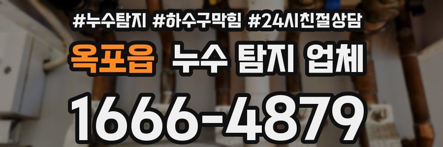 옥포읍 누수 탐지 업체