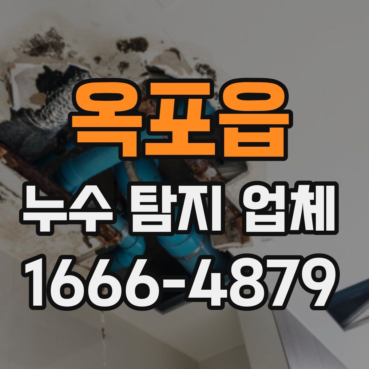 옥포읍 누수 탐지 업체