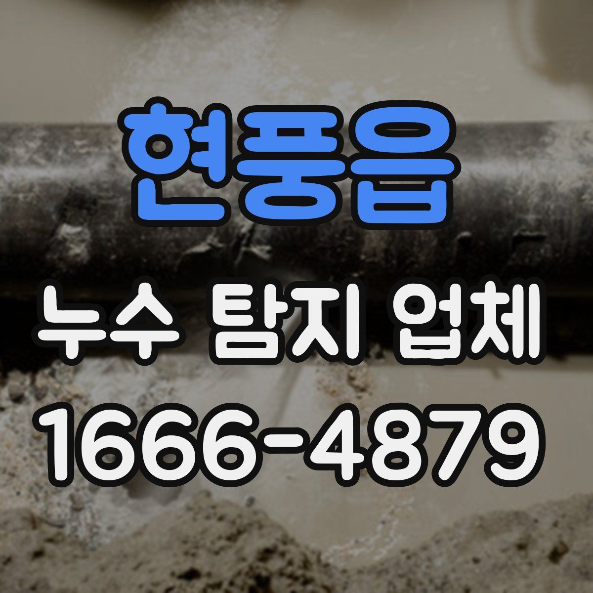 현풍읍 누수 탐지 업체