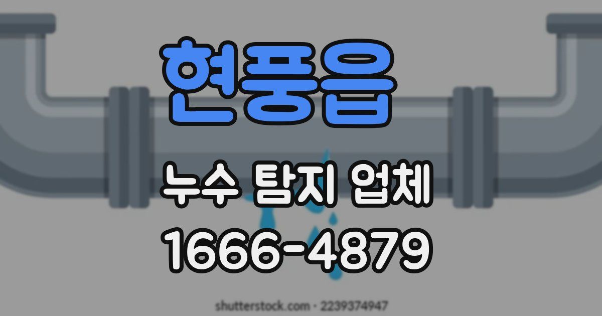현풍읍 누수 탐지 업체