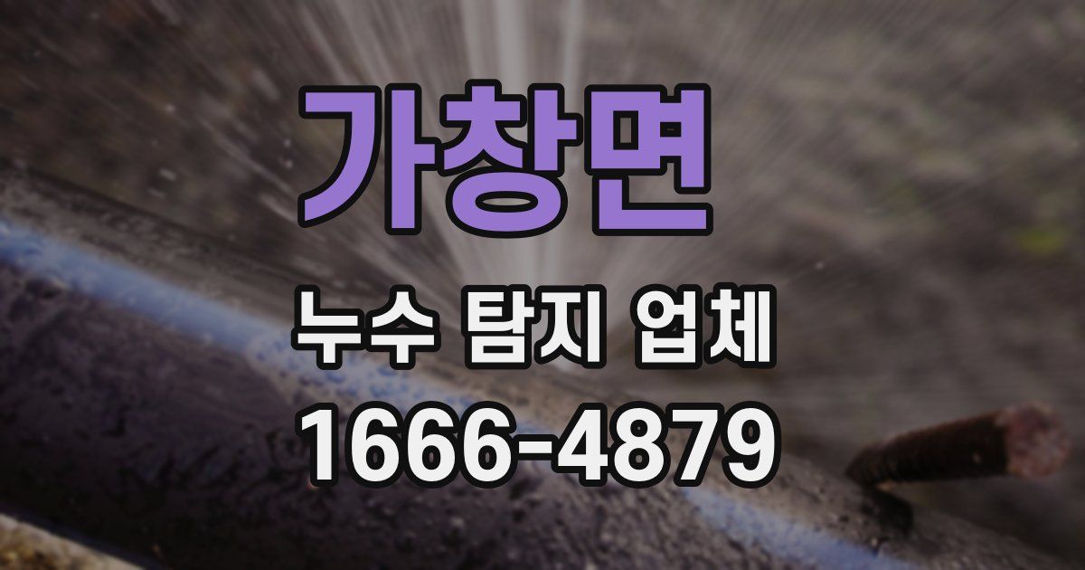 가창면 누수 탐지 업체