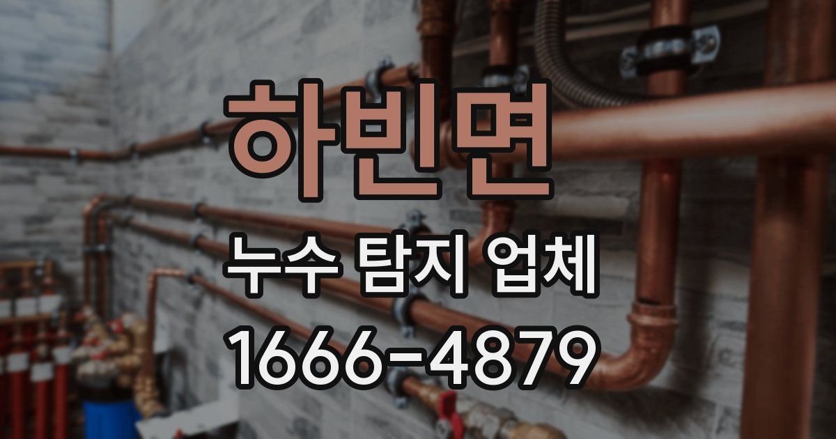 하빈면 누수 탐지 업체