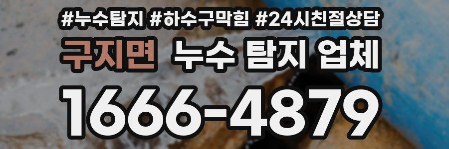 구지면 누수 탐지 업체