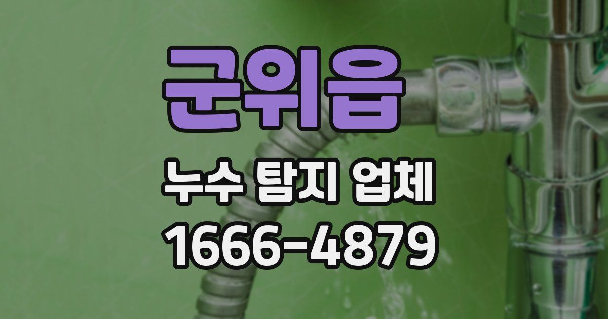 군위읍 누수 탐지 업체