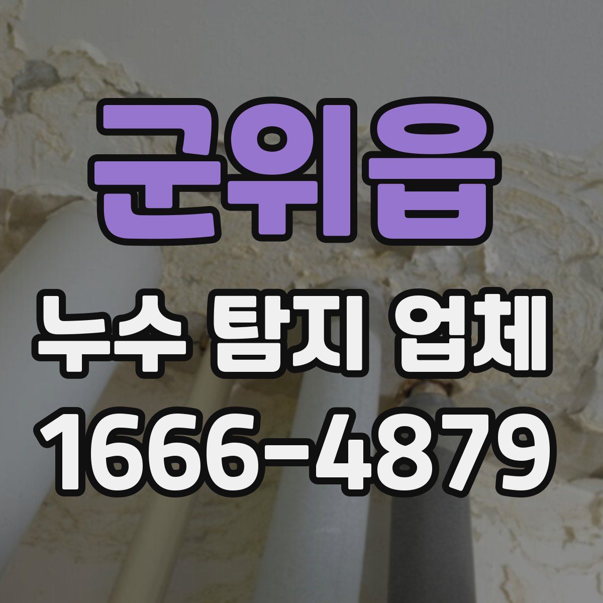 군위읍 누수 탐지 업체