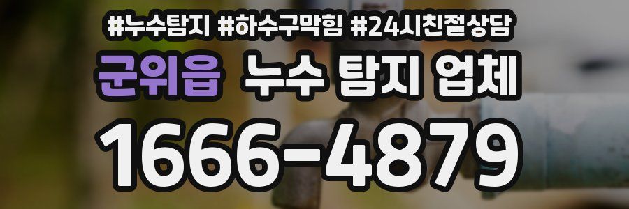 군위읍 누수 탐지 업체