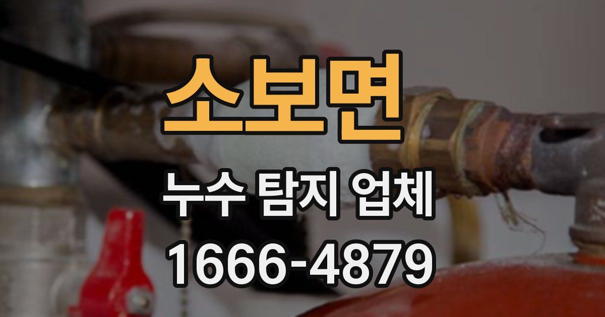 소보면 누수 탐지 업체