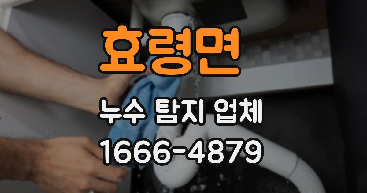 효령면 누수 탐지 업체