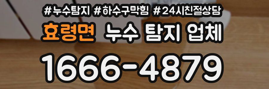 효령면 누수 탐지 업체