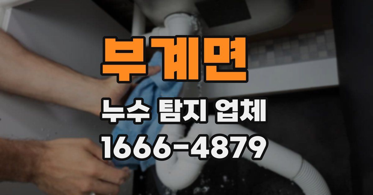 부계면 누수 탐지 업체