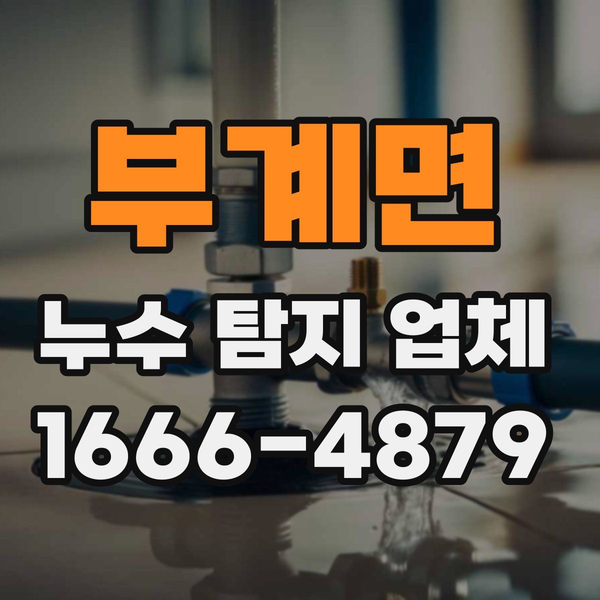 부계면 누수 탐지 업체