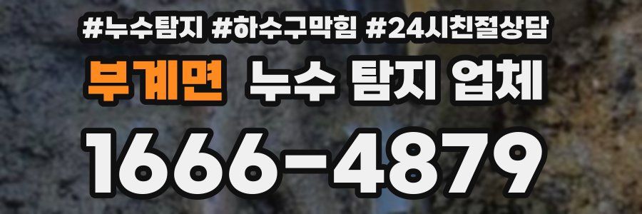 부계면 누수 탐지 업체