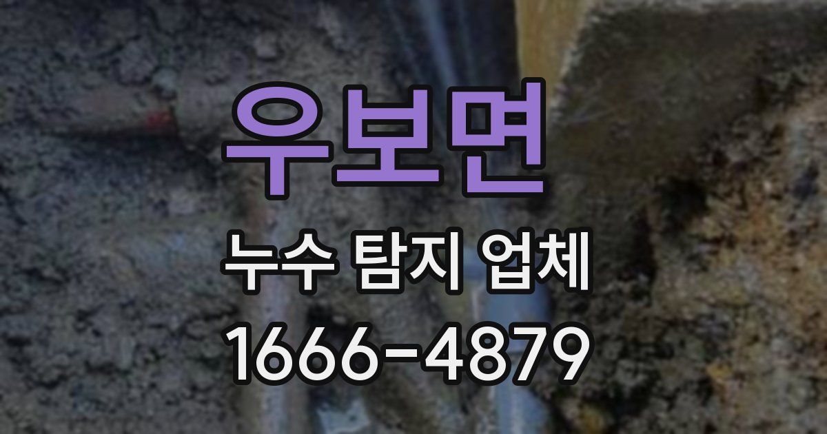 우보면 누수 탐지 업체