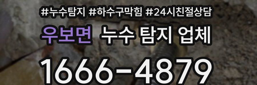 우보면 누수 탐지 업체