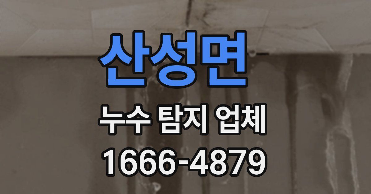산성면 누수 탐지 업체