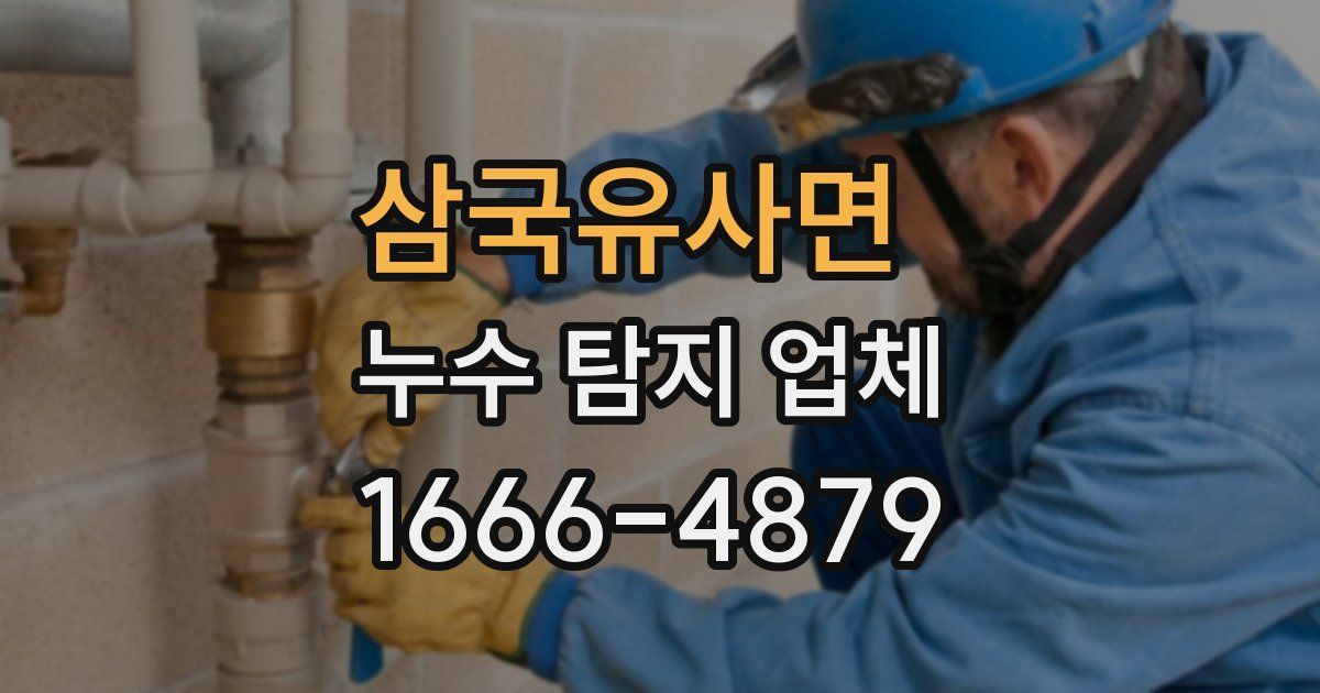 삼국유사면 누수 탐지 업체