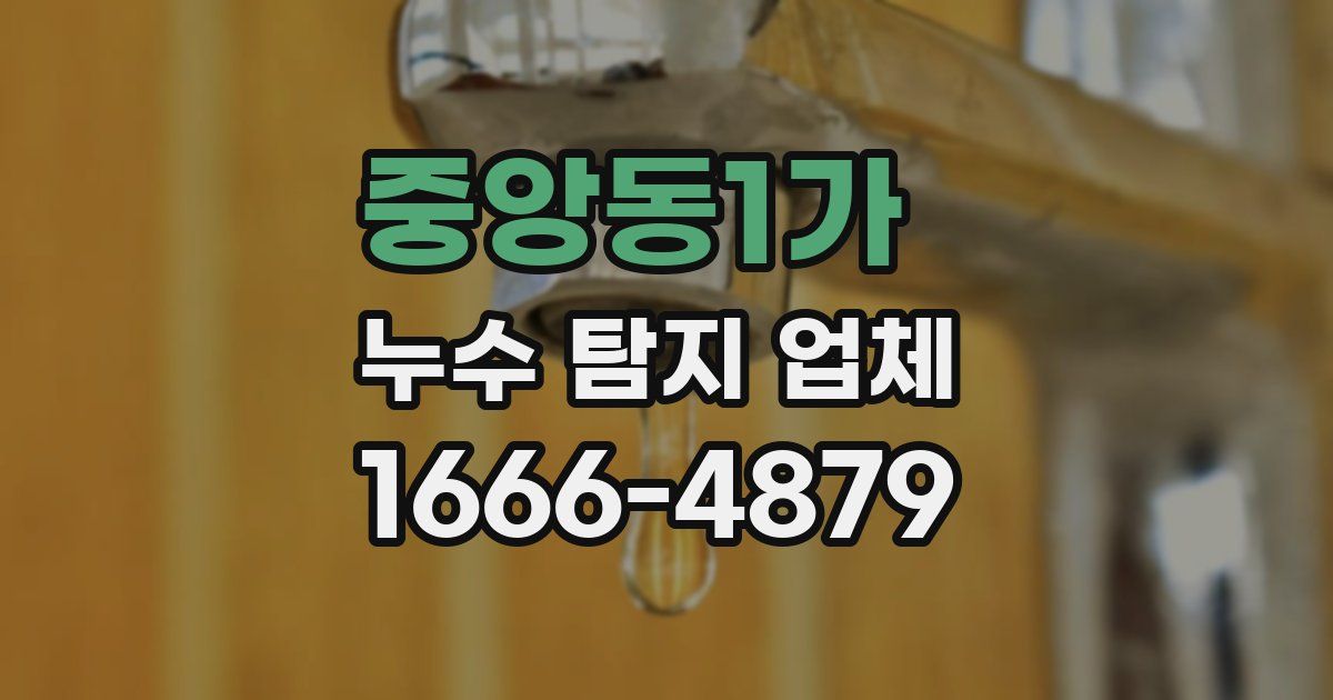 중앙동1가 누수 탐지 업체