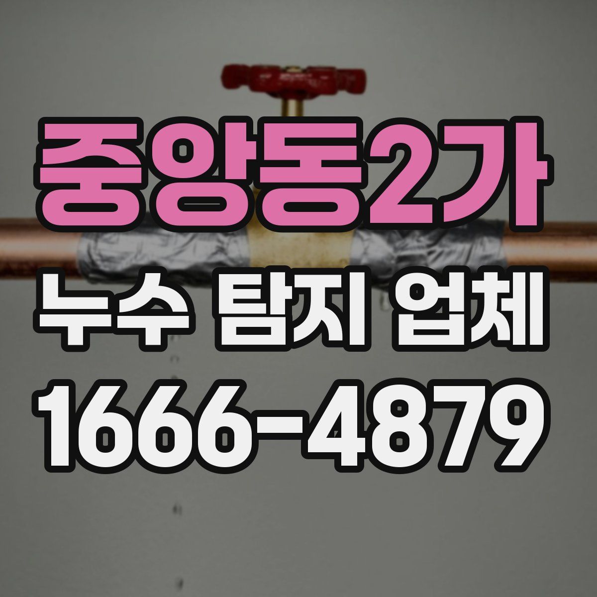 중앙동2가 누수 탐지 업체