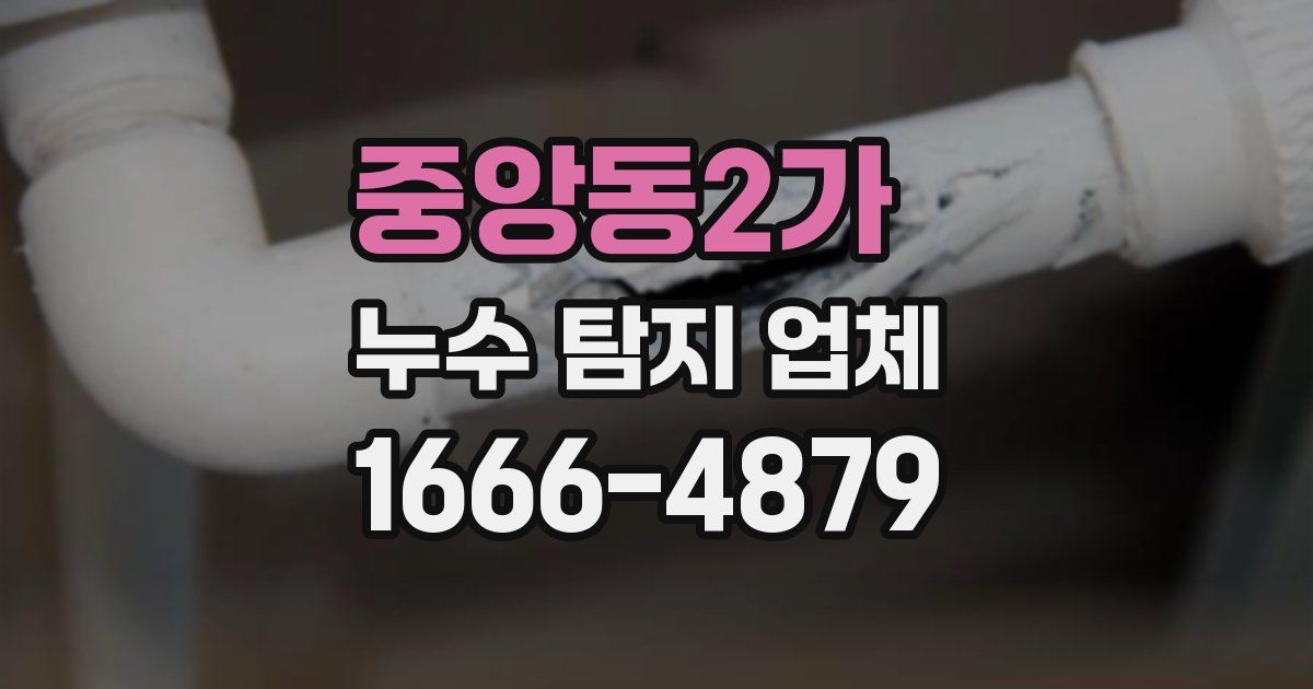 중앙동2가 누수 탐지 업체