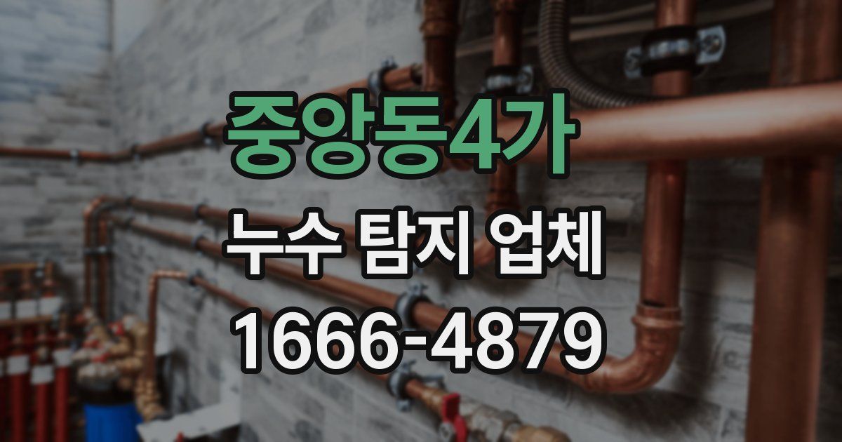 중앙동4가 누수 탐지 업체