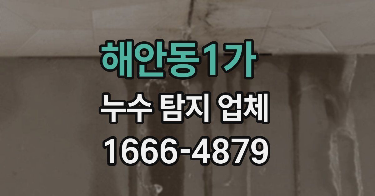 해안동1가 누수 탐지 업체