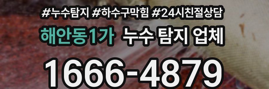 해안동1가 누수 탐지 업체