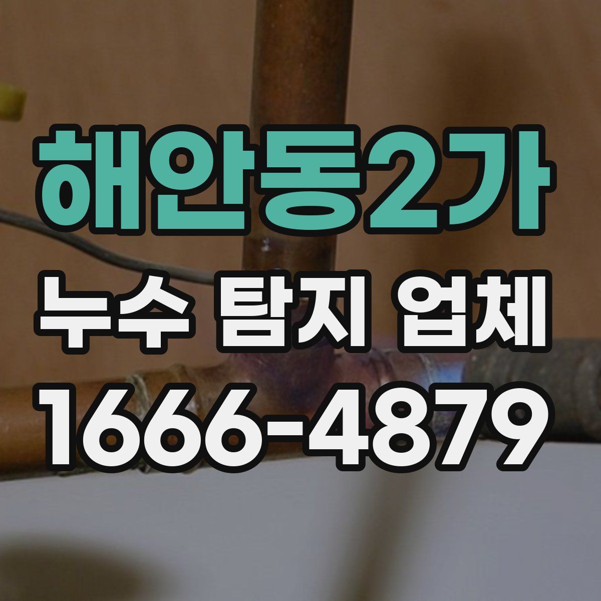 해안동2가 누수 탐지 업체