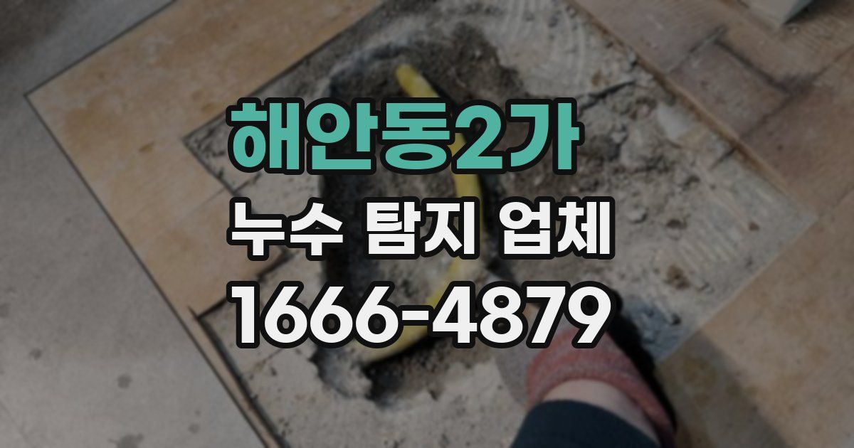 해안동2가 누수 탐지 업체