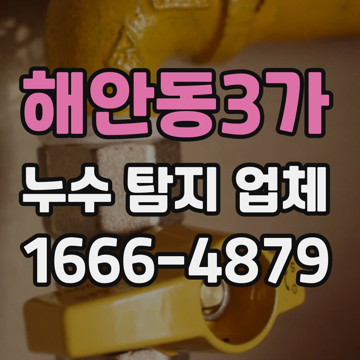 해안동3가 누수 탐지 업체