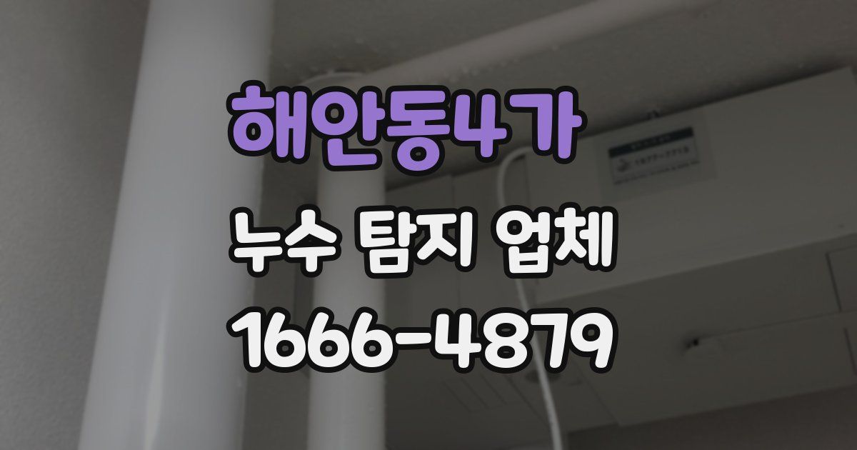 해안동4가 누수 탐지 업체