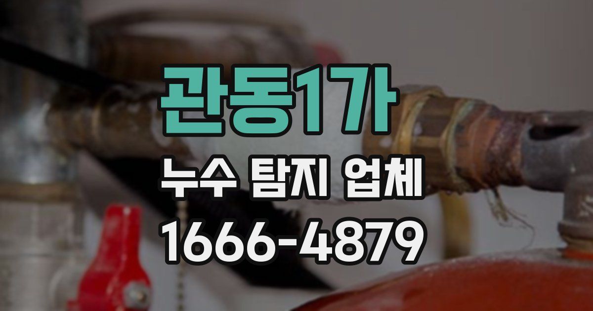 관동1가 누수 탐지 업체
