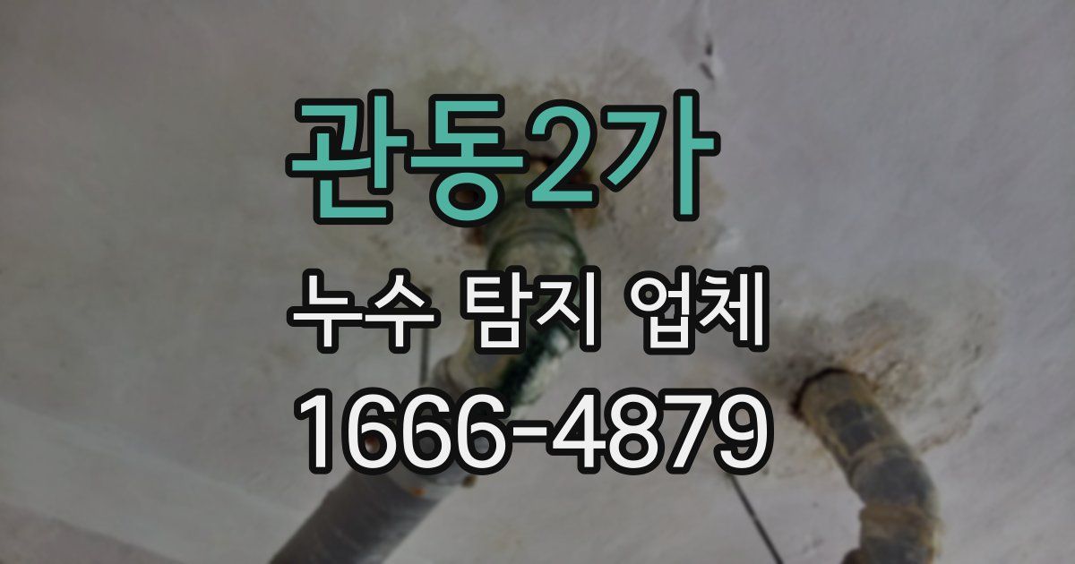 관동2가 누수 탐지 업체