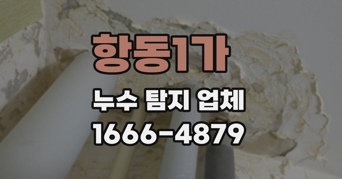항동1가 누수 탐지 업체