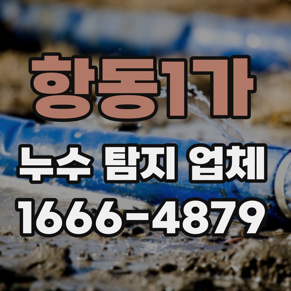 항동1가 누수 탐지 업체