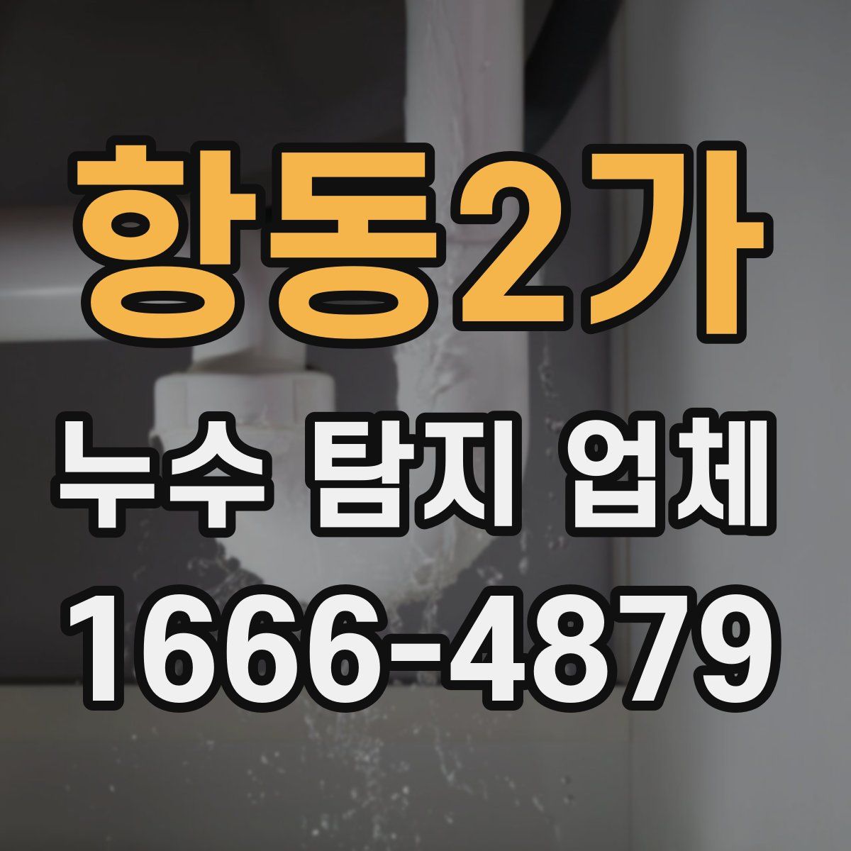 항동2가 누수 탐지 업체