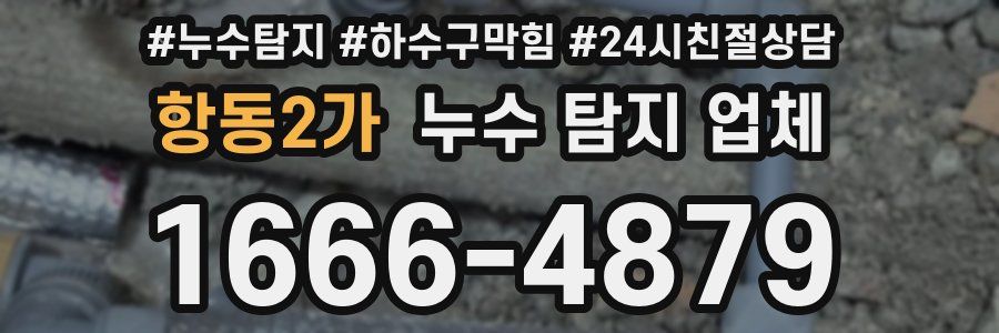 항동2가 누수 탐지 업체