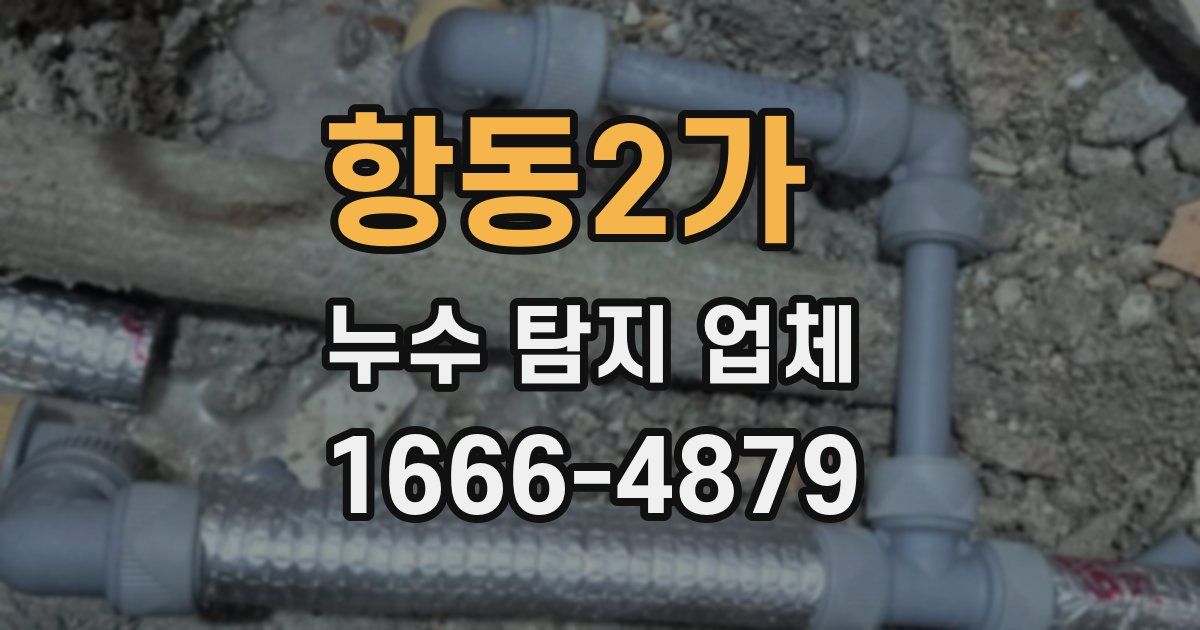 항동2가 누수 탐지 업체