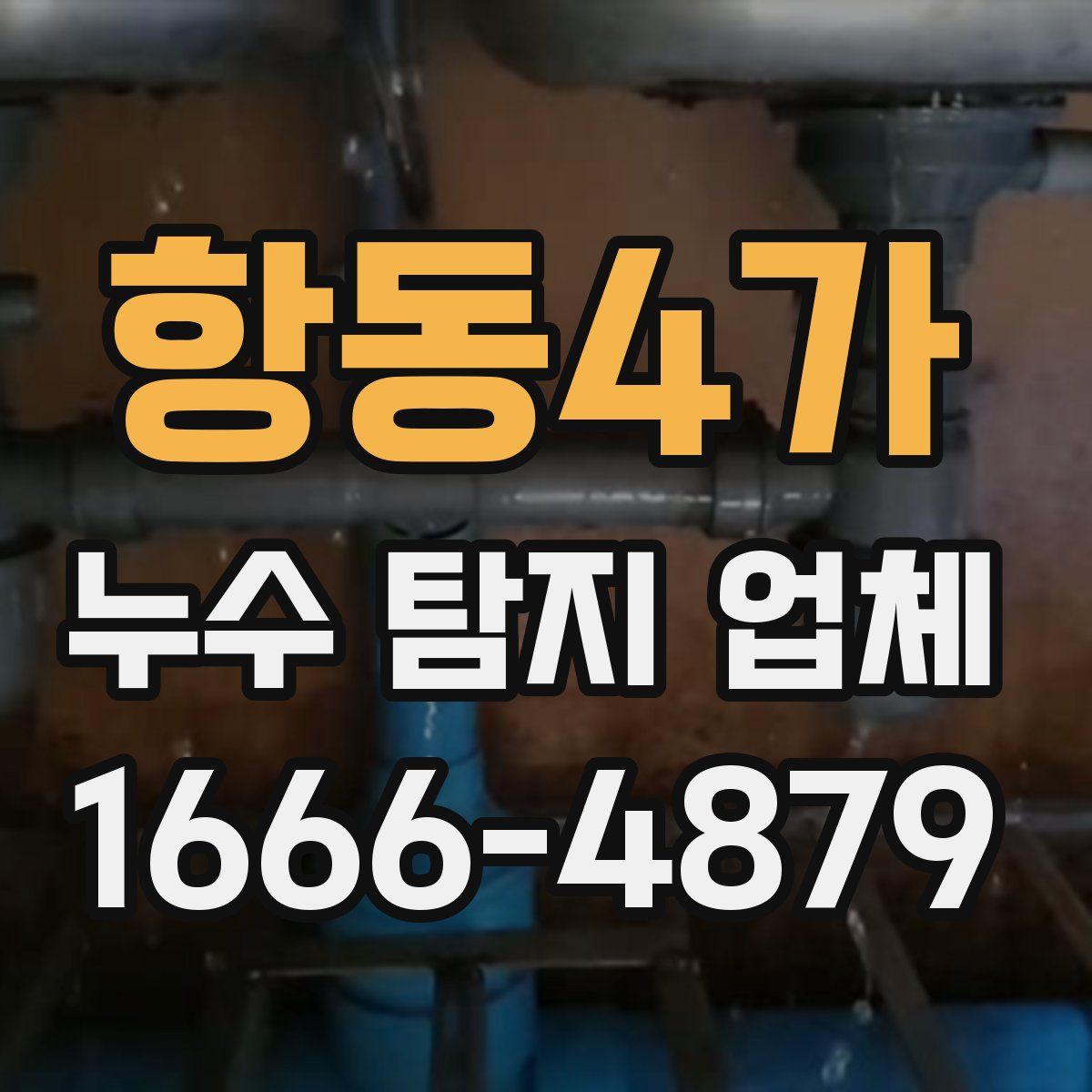 항동4가 누수 탐지 업체