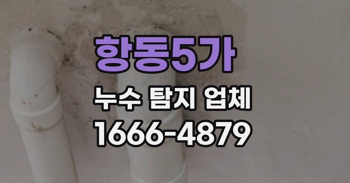 항동5가 누수 탐지 업체