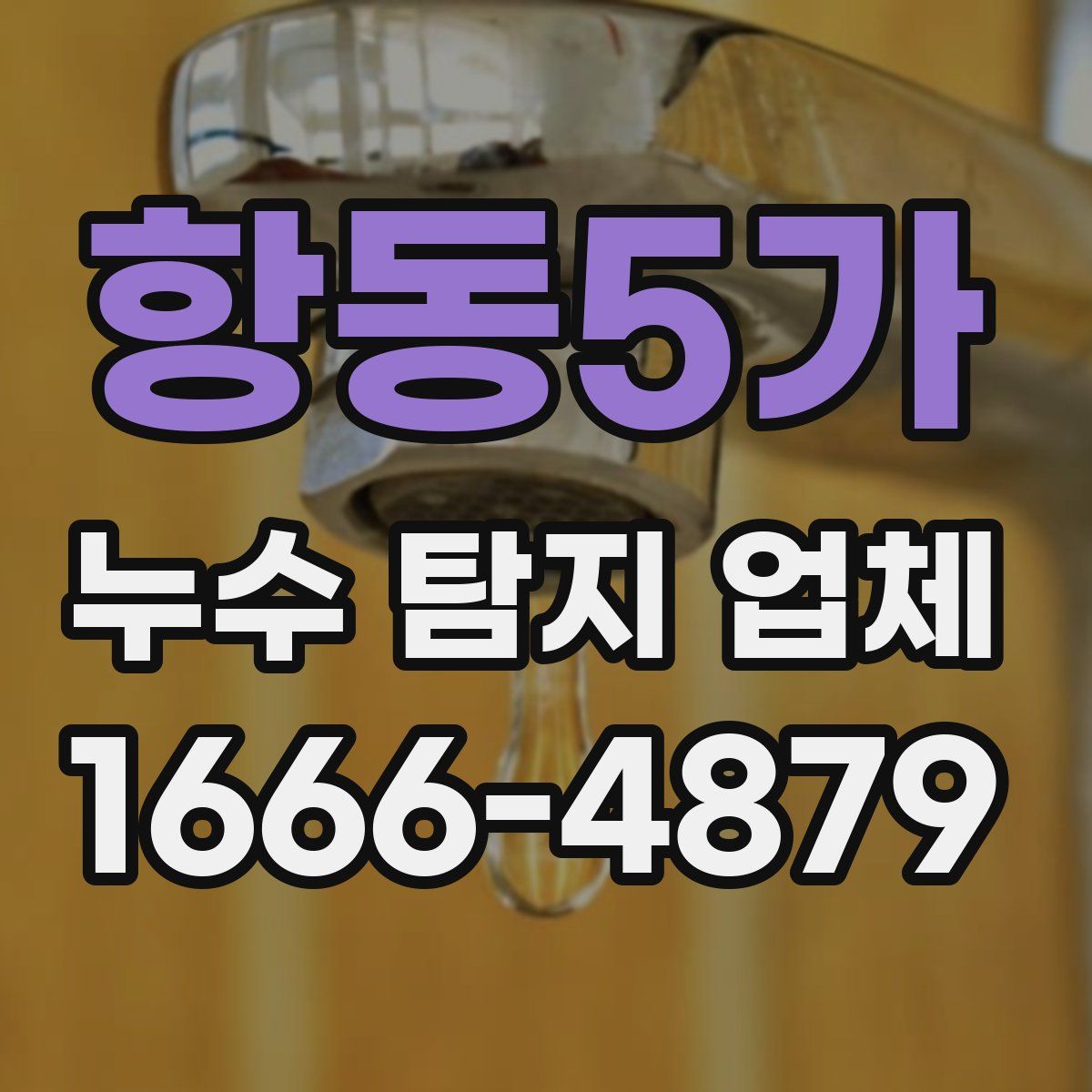 항동5가 누수 탐지 업체
