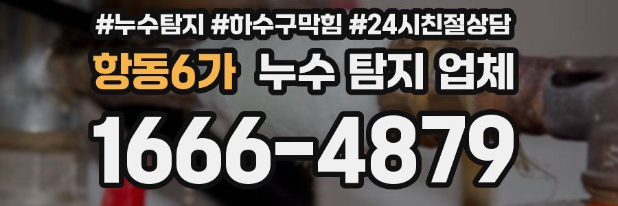 항동6가 누수 탐지 업체