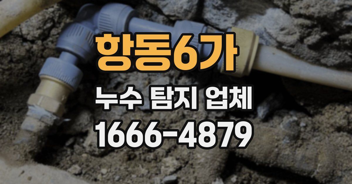 항동6가 누수 탐지 업체
