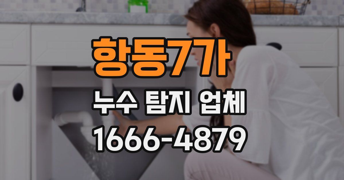 항동7가 누수 탐지 업체