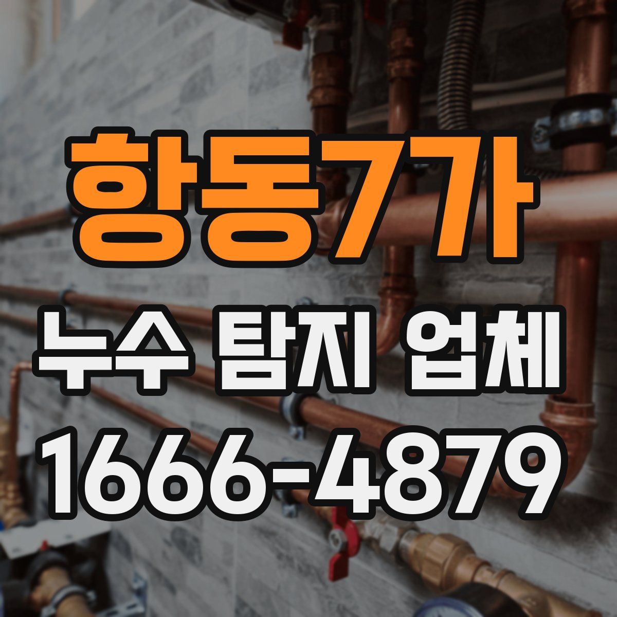 항동7가 누수 탐지 업체