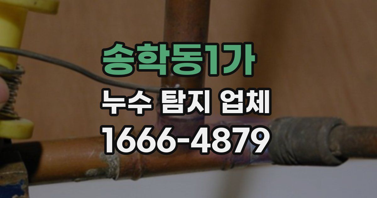 송학동1가 누수 탐지 업체