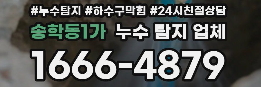 송학동1가 누수 탐지 업체